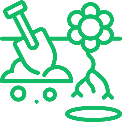 Planting and Maintenance