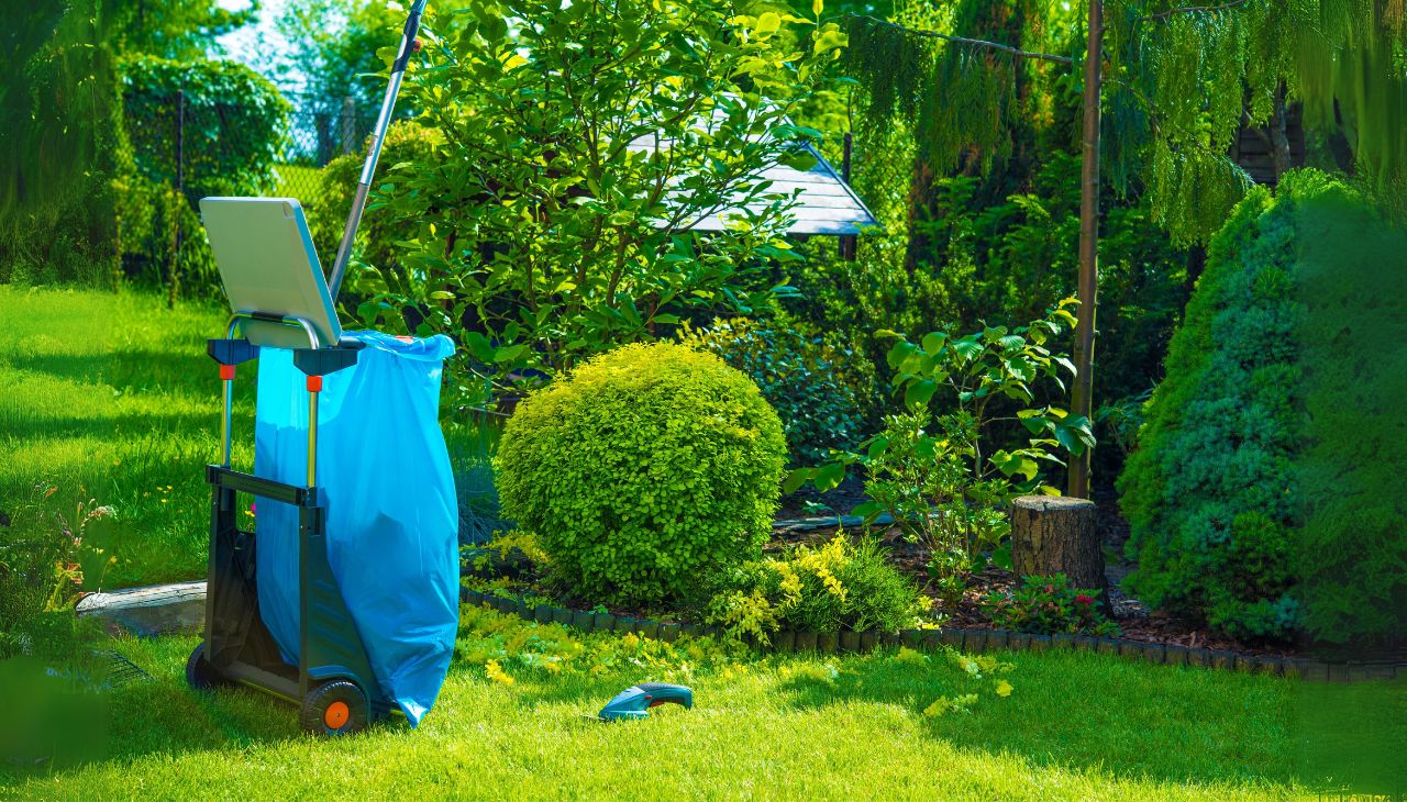 seasonal-cleanup